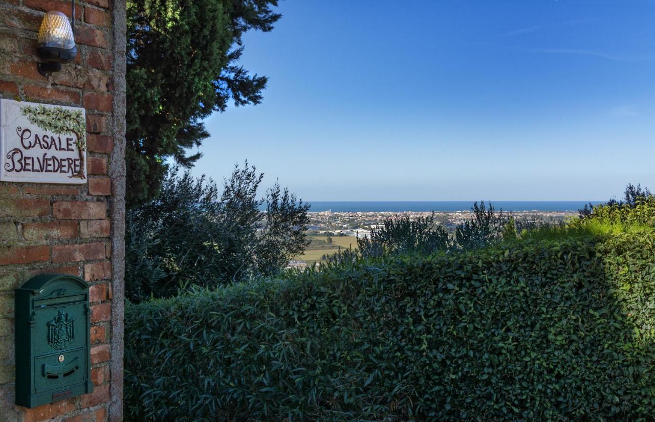 Casale Belvedere Il Melograno Massarosa Eksteriør bilde